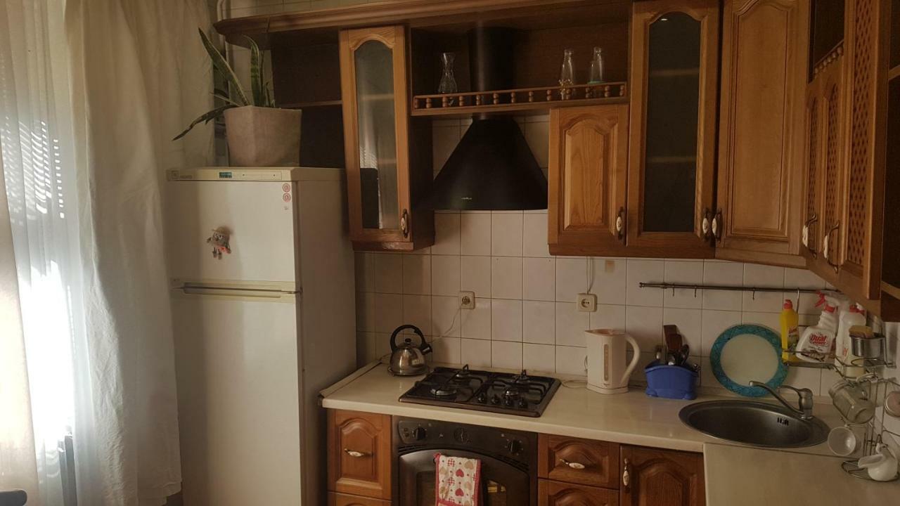 2 Комнатные Аппартаменты На Бульваре Пушкина Apartman Kremencsuk Kültér fotó